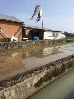 田植え完了