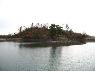 秩父が浦公園