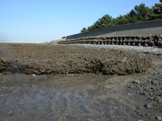 尾茂浜　阿蘇の火砕流堆積物