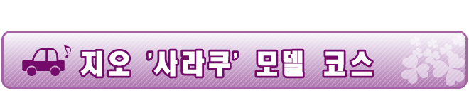 지오 '사라쿠' 모델 코스 지오 '사라쿠' 모델 코스