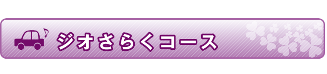 いちにちじっくり さらくコース